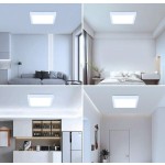 CANMEIJIA LED吸顶灯，家居照明面板灯，室内照明灯具，LED嵌入式灯，现代简约吊灯，浴室灯，10W/20W/30W，方形/圆形，白光，吸顶/嵌入式，110-265V，适用于客厅/卧室/浴室/厨房/阳台/餐厅/走廊/楼梯/阁楼/仓库/商店/露台/车库/门厅/育儿室/玄关。请根据使用需求选择合适的尺寸。