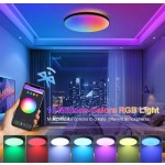 蓝牙智能吸顶灯，RGB 调光，Alexa 语音控制，装饰性天花板面板灯，大尺寸面板，220V 遥控 LED 吸顶灯，1 件/2 件套装，3 色可调/RGB 可调，适用于卧室/厨房/客厅/儿童房/入口/衣柜/车库/走廊/娱乐室/电脑室/门厅/更衣室/出租屋/小房间/流媒体室，根据使用需求选择合适的尺寸
