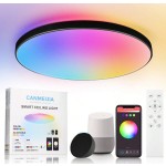 蓝牙智能吸顶灯，RGB 调光，Alexa 语音控制，装饰性天花板面板灯，大尺寸面板，220V 遥控 LED 吸顶灯，1 件/2 件套装，3 色可调/RGB 可调，适用于卧室/厨房/客厅/儿童房/入口/衣柜/车库/走廊/娱乐室/电脑室/门厅/更衣室/出租屋/小房间/流媒体室，根据使用需求选择合适的尺寸
