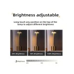 1 件/2 件装无绳 LED 台灯，可充电，3 种色温和调光，适用于户外/餐厅/卧室/家居/咖啡厅桌