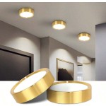 1 件金色嵌入式筒灯，现代 LED 吸顶灯，客厅/卧室吸顶灯，金色圆形 LED 面板灯，5W/10W/15W/25W，冷白/中性白/暖白，AC185-265V，易于安装，适用于卧室、客厅、厨房、走廊、楼梯、地下室、车库、酒吧、商场、书房、陈列室
