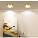 1 件金色嵌入式筒灯，现代 LED 吸顶灯，客厅/卧室吸顶灯，金色圆形 LED 面板灯，5W/10W/15W/25W，冷白/中性白/暖白，AC185-265V，易于安装，适用于卧室、客厅、厨房、走廊、楼梯、地下室、车库、酒吧、商场、书房、陈列室