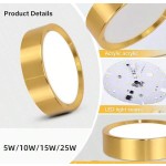 1 件金色嵌入式筒灯，现代 LED 吸顶灯，客厅/卧室吸顶灯，金色圆形 LED 面板灯，5W/10W/15W/25W，冷白/中性白/暖白，AC185-265V，易于安装，适用于卧室、客厅、厨房、走廊、楼梯、地下室、车库、酒吧、商场、书房、陈列室