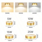 1 件金色嵌入式筒灯，现代 LED 吸顶灯，客厅/卧室吸顶灯，金色圆形 LED 面板灯，5W/10W/15W/25W，冷白/中性白/暖白，AC185-265V，易于安装，适用于卧室、客厅、厨房、走廊、楼梯、地下室、车库、酒吧、商场、书房、陈列室