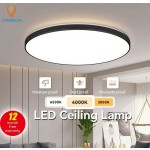 CANMEIJIA LED 吸顶灯、吊灯面板、浴室灯、亮色房间照明、简约风格黑色框架、家居装饰照明灯具、易于安装、220V，适用于办公室/浴室/卧室/客厅/书房/衣柜/厨房/走廊/入口/阳台/楼梯/小房间/出租单位。根据您的使用需求选择合适的尺寸。