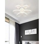 现代 LED 吸顶灯、家居装饰照明灯具、简约吸顶灯、优雅弧形设计、简约吸顶灯、装饰照明、暖白/冷白 2700-3500K/5500-6000K、铝/硅胶吸顶灯、黑色/白色、LED 吸顶灯、白光/暖光