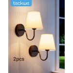 Teckwe 2組壁燈燈罩壁架，適用臥室裝飾、客廳沙發家居裝飾