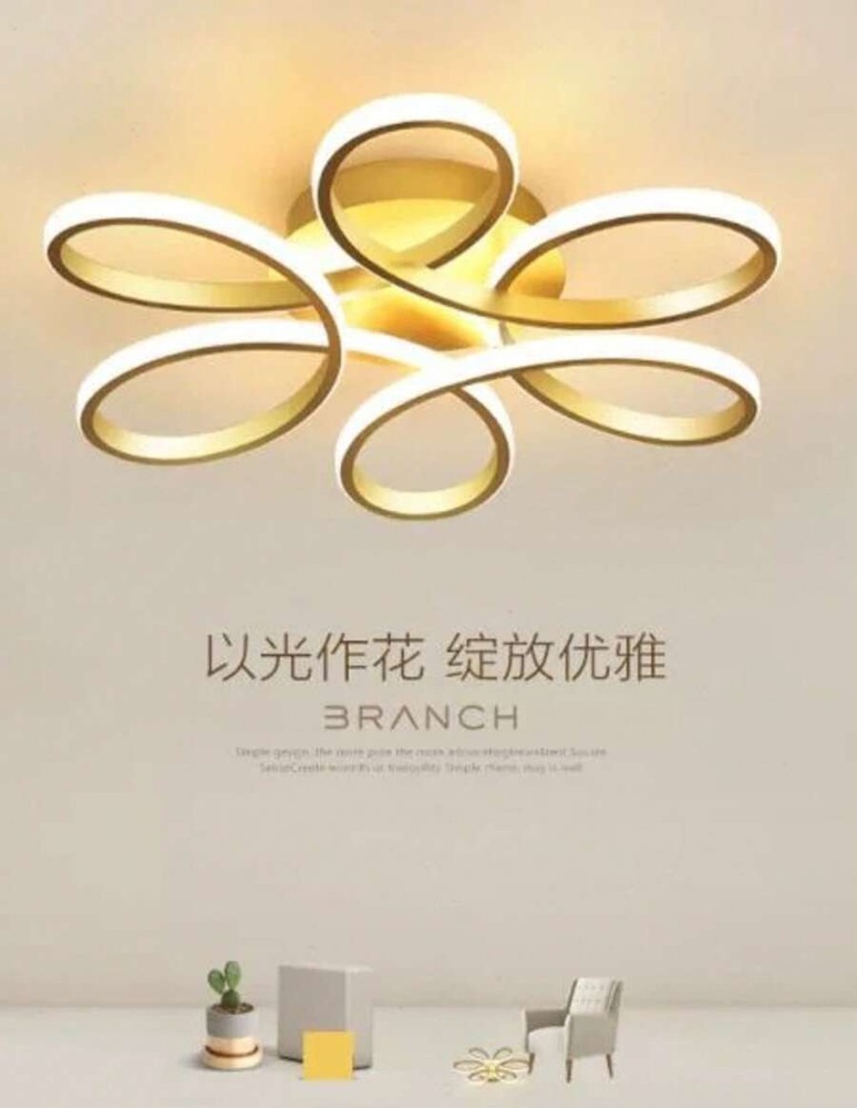 现代 LED 吸顶灯、家居装饰照明灯具、简约吸顶灯、优雅弧形设计、简约吸顶灯、装饰照明、暖白/冷白 2700-3500K/5500-6000K、铝/硅胶吸顶灯、黑色/白色、LED 吸顶灯、白光/暖光
